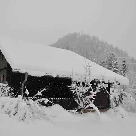 Dom wakacyjny Holzhaus In *