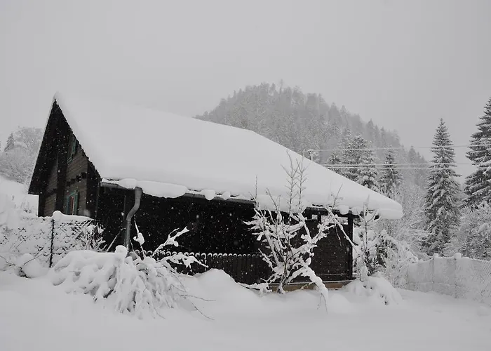 Σπίτι διακοπών Holzhaus In *